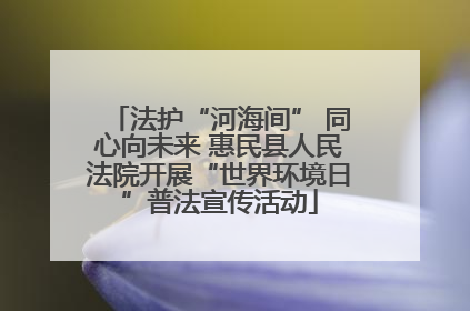 法护“河海间” 同心向未来 惠民县人民法院开展“世界环境日”普法宣传活动