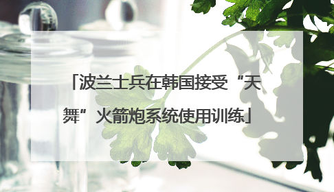 波兰士兵在韩国接受“天舞”火箭炮系统使用训练