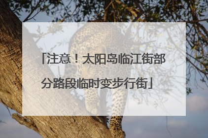 注意！太阳岛临江街部分路段临时变步行街