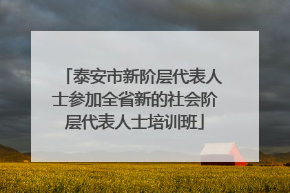 泰安市新阶层代表人士参加全省新的社会阶层代表人士培训班