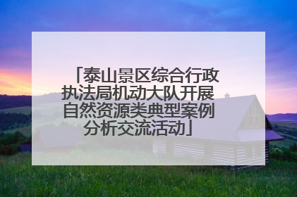 泰山景区综合行政执法局机动大队开展自然资源类典型案例分析交流活动