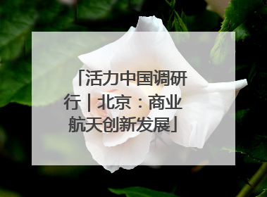 活力中国调研行｜北京：商业航天创新发展
