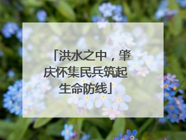 洪水之中，肇庆怀集民兵筑起生命防线
