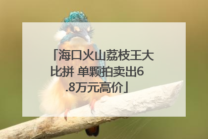 海口火山荔枝王大比拼 单颗拍卖出6.8万元高价