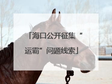 海口公开征集“运霸”问题线索
