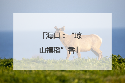 海口：“琼山福稻”香
