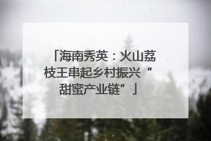 海南秀英：火山荔枝王串起乡村振兴“甜蜜产业链”