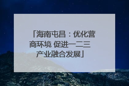 海南屯昌：优化营商环境 促进一二三产业融合发展