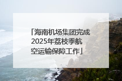 海南机场集团完成2025年荔枝季航空运输保障工作