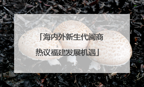 海内外新生代闽商热议福建发展机遇