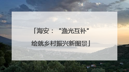 海安：“渔光互补” 绘就乡村振兴新图景