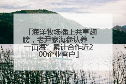 海洋牧场插上共享翅膀，老尹家海参认养“一亩海”累计合作近200企业客户