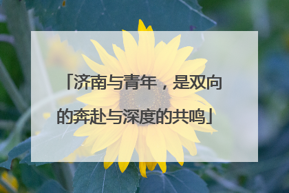 济南与青年，是双向的奔赴与深度的共鸣