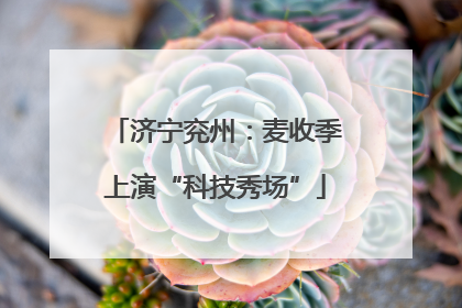 济宁兖州：麦收季上演“科技秀场”