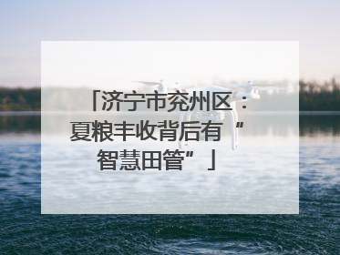 济宁市兖州区：夏粮丰收背后有“智慧田管”