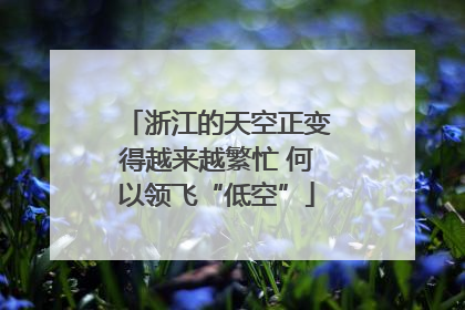 浙江的天空正变得越来越繁忙 何以领飞“低空”
