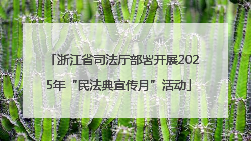 浙江省司法厅部署开展2025年“民法典宣传月”活动