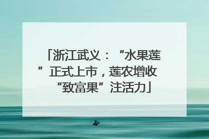 浙江武义：“水果莲”正式上市，莲农增收“致富果”注活力