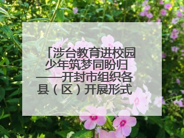 涉台教育进校园 少年筑梦同盼归——开封市组织各县（区）开展形式多样的涉台宣传教育进校园活动