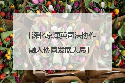 深化京津冀司法协作 融入协同发展大局