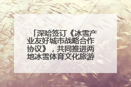 深哈签订《冰雪产业友好城市战略合作协议》，共同推进两地冰雪体育文化旅游高质量发展