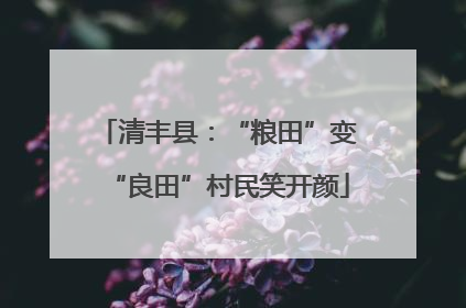 清丰县：“粮田”变“良田”村民笑开颜
