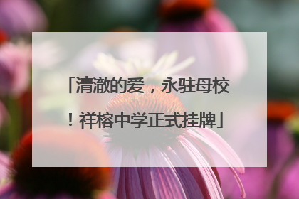 清澈的爱，永驻母校！祥榕中学正式挂牌