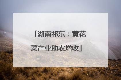 湖南祁东：黄花菜产业助农增收