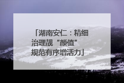湖南安仁：精细治理靓“颜值” 规范有序增活力