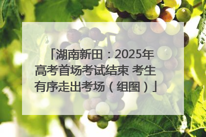 湖南新田：2025年高考首场考试结束 考生有序走出考场（组图）