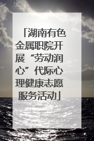 湖南有色金属职院开展“劳动润心”代际心理健康志愿服务活动