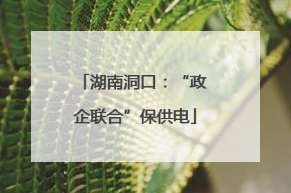 湖南洞口：“政企联合”保供电