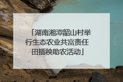 湖南湘潭韶山村举行生态农业共富责任田插秧助农活动