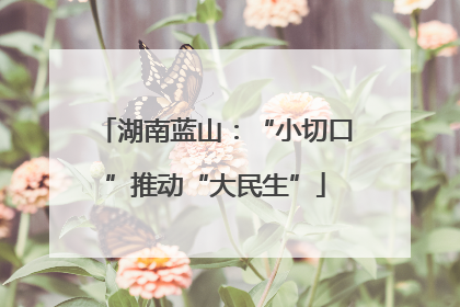 湖南蓝山：“小切口”推动“大民生”