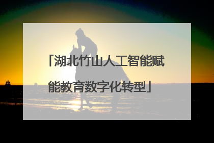湖北竹山人工智能赋能教育数字化转型