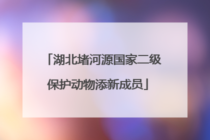 湖北堵河源国家二级保护动物添新成员