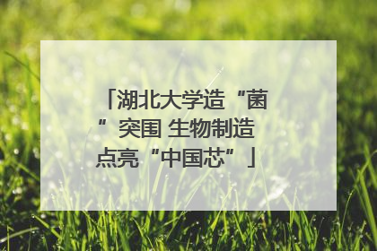 湖北大学造“菌”突围 生物制造点亮“中国芯”