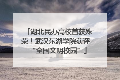 湖北民办高校首获殊荣！武汉东湖学院获评“全国文明校园”
