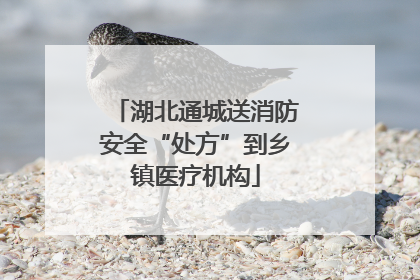湖北通城送消防安全“处方”到乡镇医疗机构
