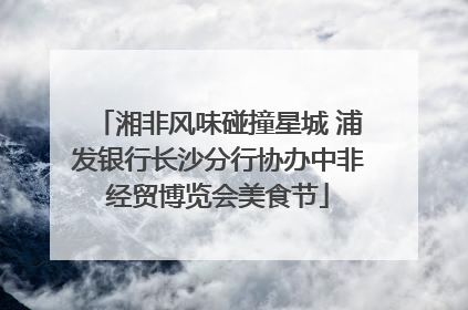 湘非风味碰撞星城 浦发银行长沙分行协办中非经贸博览会美食节