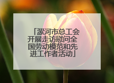 漯河市总工会开展走访慰问全国劳动模范和先进工作者活动
