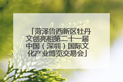 菏泽鲁西新区牡丹文创亮相第二十一届中国（深圳）国际文化产业博览交易会