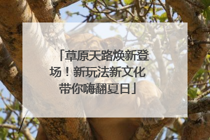草原天路焕新登场！新玩法新文化带你嗨翻夏日