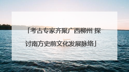 考古专家齐聚广西柳州 探讨南方史前文化发展脉络