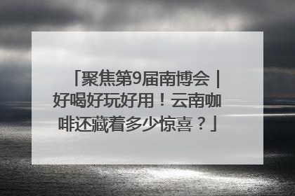 聚焦第9届南博会｜好喝好玩好用！云南咖啡还藏着多少惊喜？
