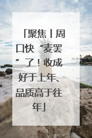 聚焦丨周口快“麦罢”了！收成好于上年、品质高于往年