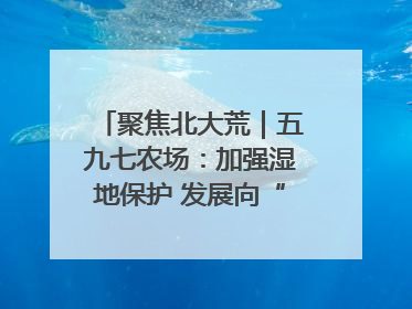 聚焦北大荒｜五九七农场：加强湿地保护 发展向“绿”而行