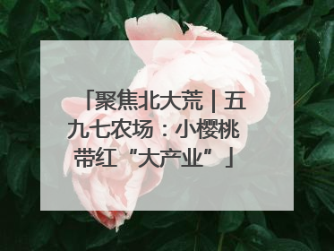 聚焦北大荒｜五九七农场：小樱桃带红“大产业”