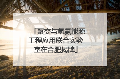 聚变与氢氨能源工程应用联合实验室在合肥揭牌