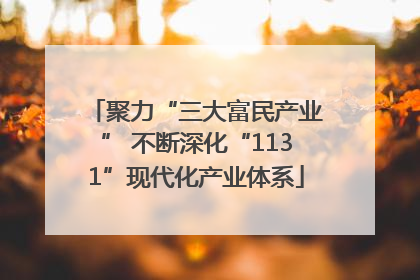 聚力“三大富民产业” 不断深化“1131”现代化产业体系